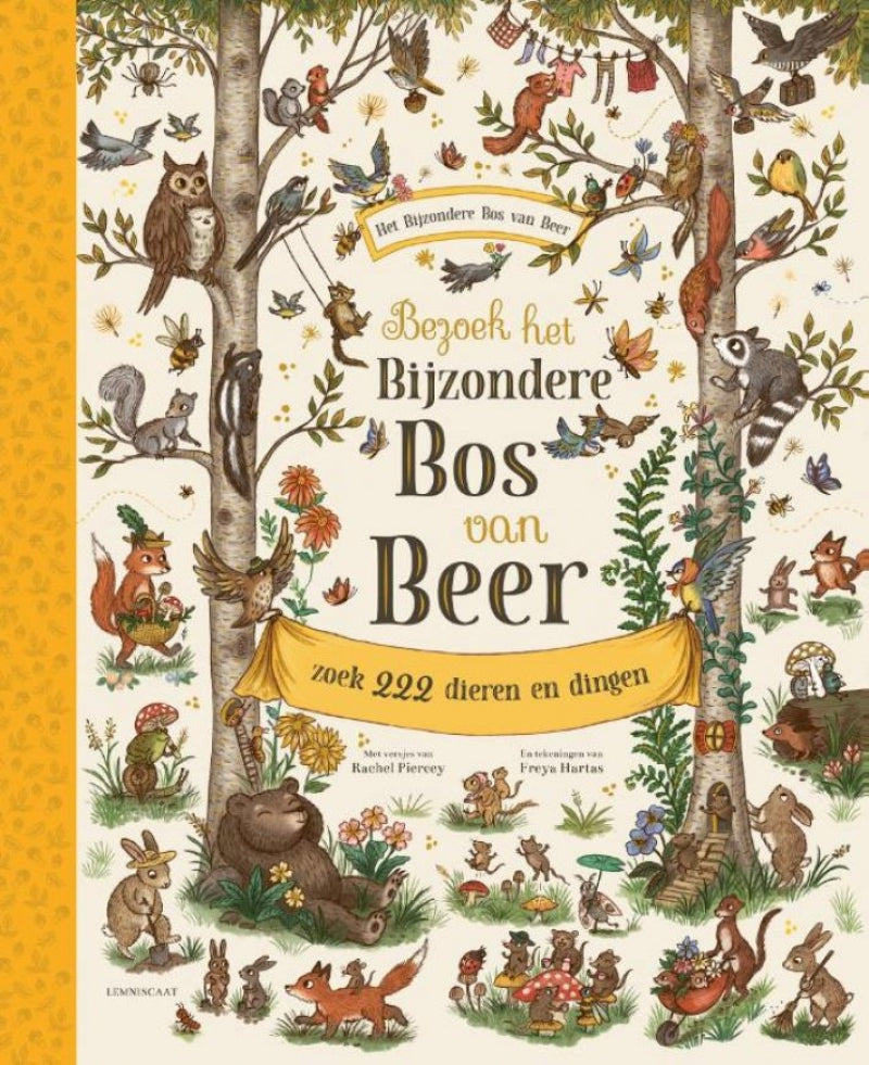 Kinderboek het bijzondere bos van beer