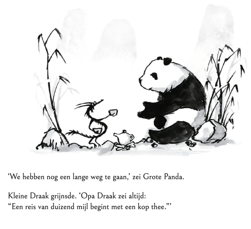 Kinderboek Grote panda en kleine draak van James Norbury